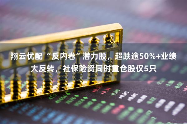 翔云优配 “反内卷”潜力股，超跌逾50%+业绩大反转，社保险资同时重仓股仅5只