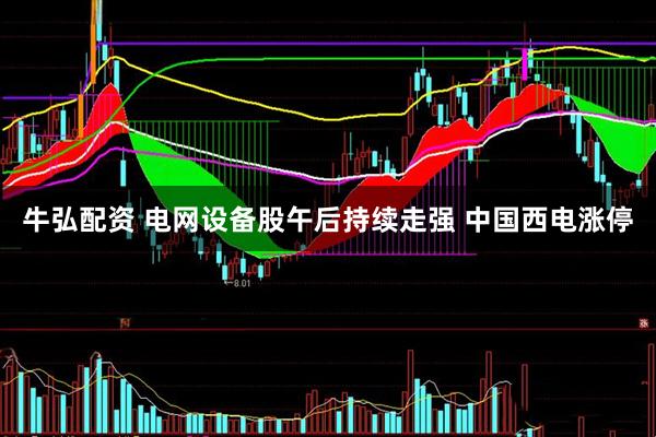 牛弘配资 电网设备股午后持续走强 中国西电涨停
