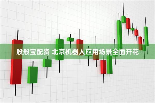 股般宝配资 北京机器人应用场景全面开花